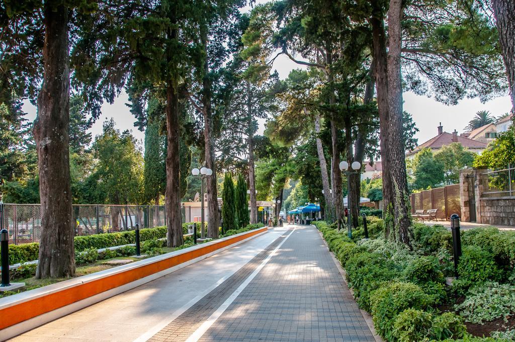 Ava Studio Apartment And Room Ντουμπρόβνικ Εξωτερικό φωτογραφία