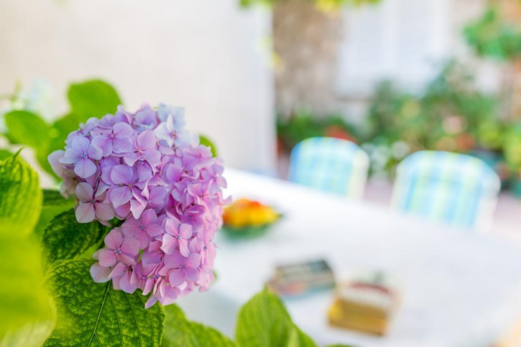 Ava Studio Apartment And Room Ντουμπρόβνικ Δωμάτιο φωτογραφία